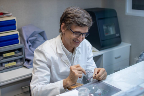 Foto Cl�nica Dental Ebrecl�nic