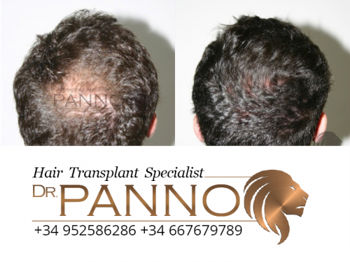 www.drpanno.com