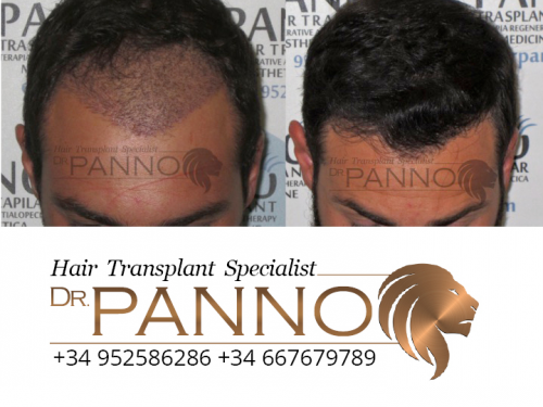 www.drpanno.com