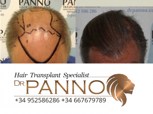 www.drpanno.com