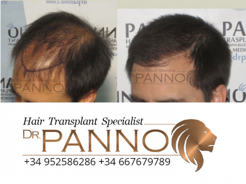 www.drpanno.com