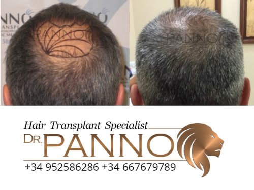 www.drpanno.com