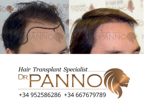 www.drpanno.com