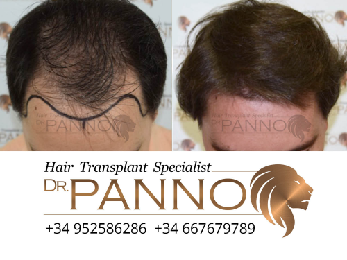 www.drpanno.com