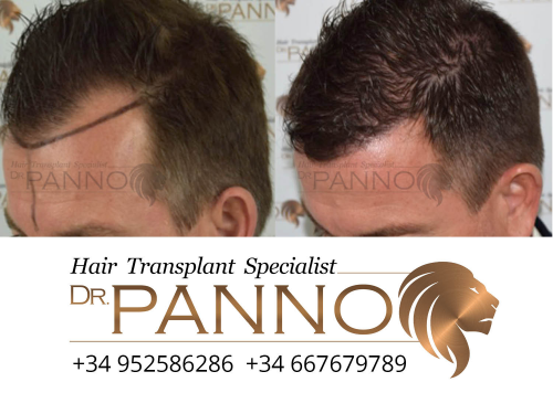 www.drpanno.com