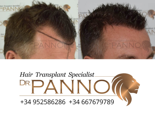 www.drpanno.com