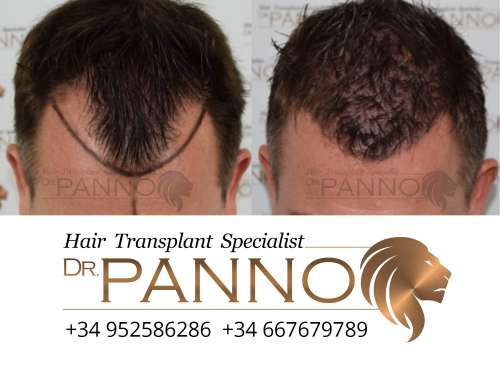 www.drpanno.com