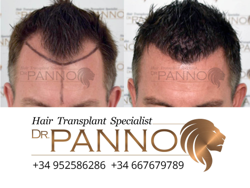 www.drpanno.com