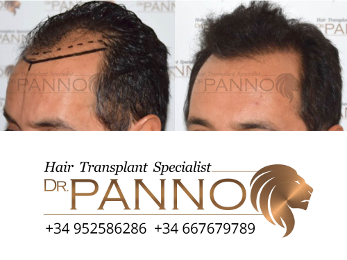 www.drpanno.com