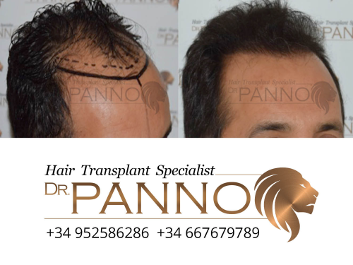 www.drpanno.com