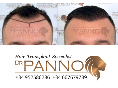 www.drpanno.com