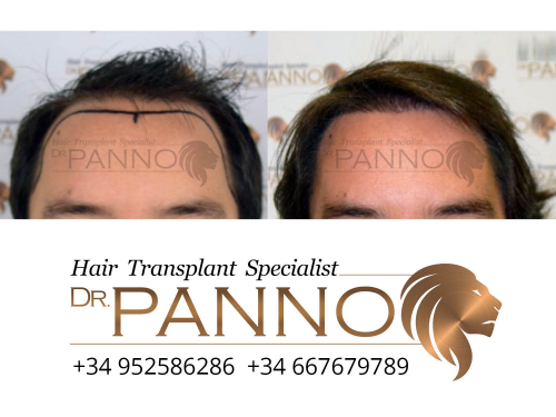 www.drpanno.com
