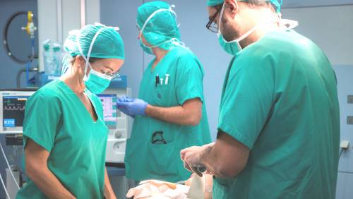 Doctora Marta Pay� Cirug�a