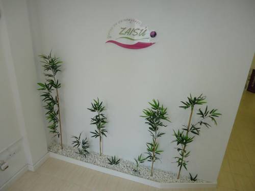 Foto Centro de Bienestar Integral Zais�