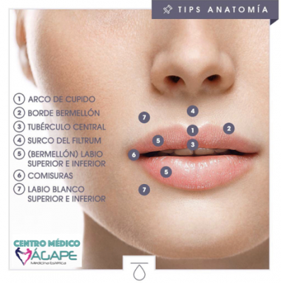 Labios con �cido hialur�nico