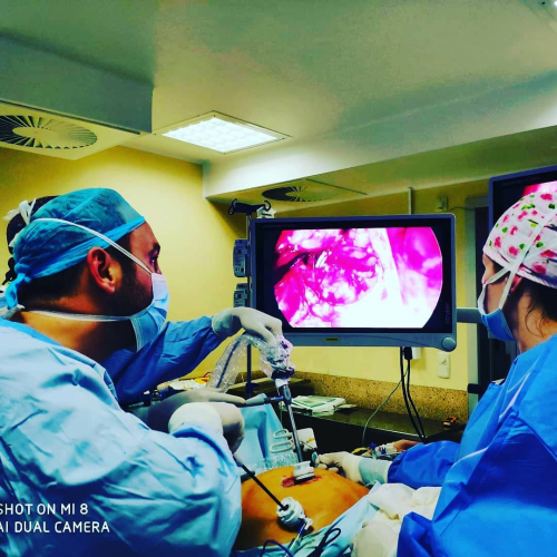 Dr. David Molina Garc�a