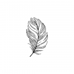 Logo Est�tica Nuva Skin