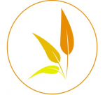 Logo S�NATE Fisioterapia y Podolog�a