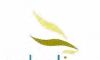 Logo Esbelia