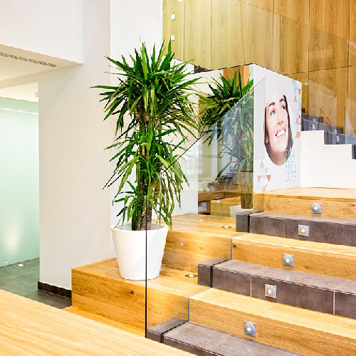 Foto Cl�nica Dental Ruiz de Gopegui