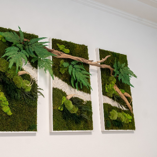 Foto Nasser Madi M�decine esth�tique