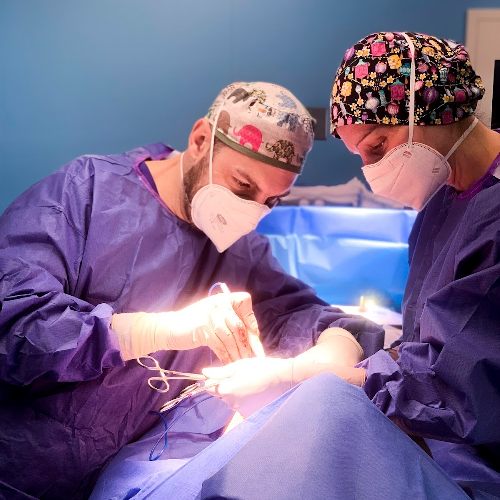 Foto Plastic Clinic - Dra. Ester Garcia Andres - Dr. Pietro Mulas