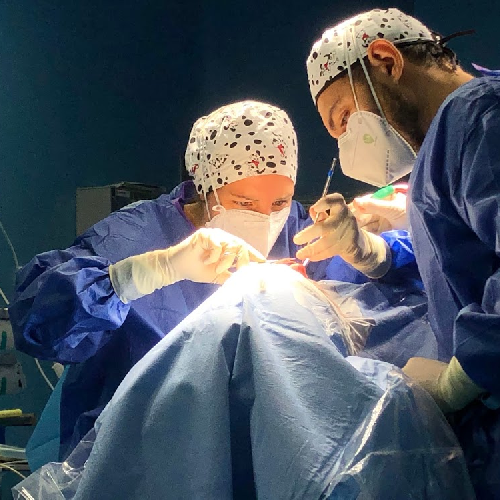 Foto Plastic Clinic - Dra. Ester Garcia Andres - Dr. Pietro Mulas