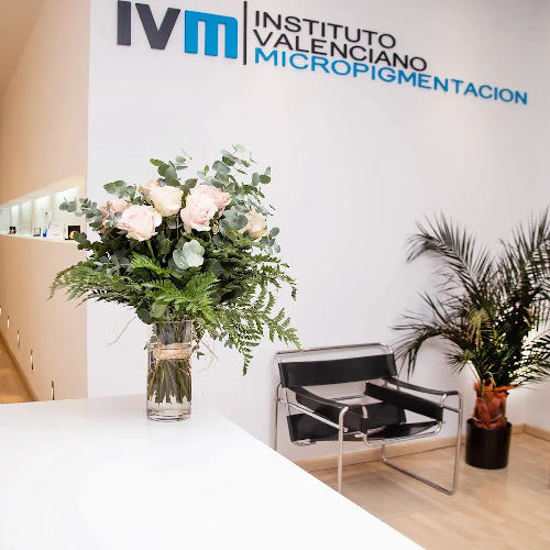 Foto INSTITUTO VALENCIANO MICROPIGMENTACION