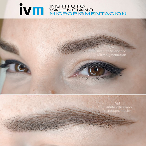 Foto INSTITUTO VALENCIANO MICROPIGMENTACION
