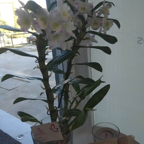 Foto spa&belleza Ana Jurado