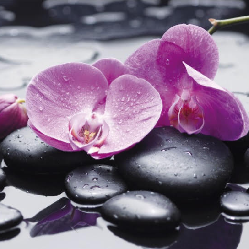 Foto spa&belleza Ana Jurado