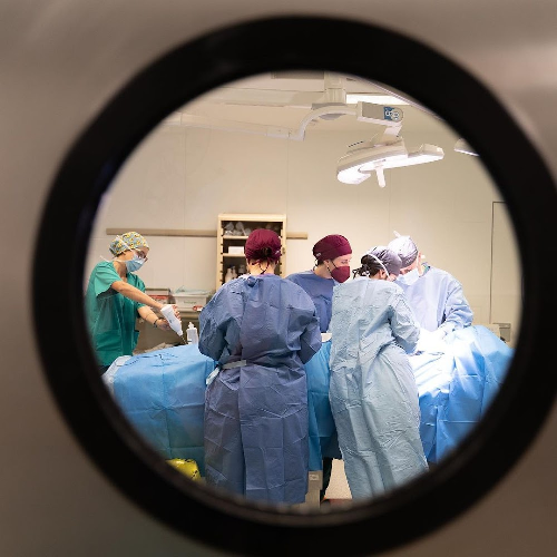 Foto Blefaroplastia.es