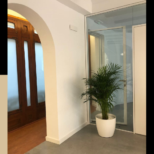 Foto Cl�nica Dr. Mallent