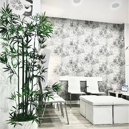 Foto Asistencia dental Plus